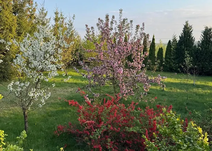 Duzy Dom W Malowniczym Miejscu Na Kociewiu *